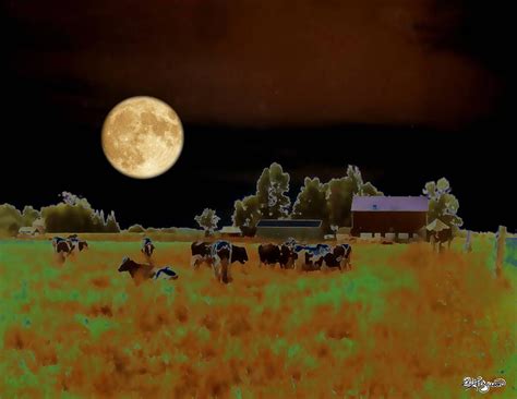  “The Moonlight Cow” – A Tale About Sacrifice, Perseverance, and Perhaps a Touch of Magic!