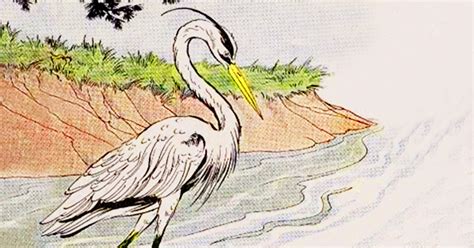  The White Heron - A Tale of Choice, Sacrifice, and the Beauty of Nature!